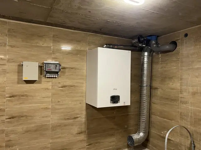 Gas boiler with a flue